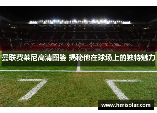 曼联费莱尼高清图鉴 揭秘他在球场上的独特魅力